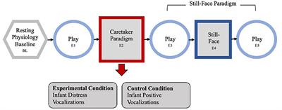 Acute Maternal Stress Disrupts Infant Regulation of the Autonomic Nervous System and Behavior: A CASP Study